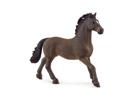 13946 SCHLEICH OLDENBURGER STALLION Online Hot Sale