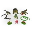 PETERKIN REPTILE WORLD 9PC Supply