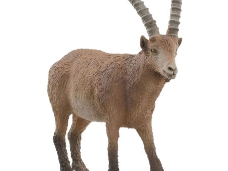 SC14873 IBEX Online Sale