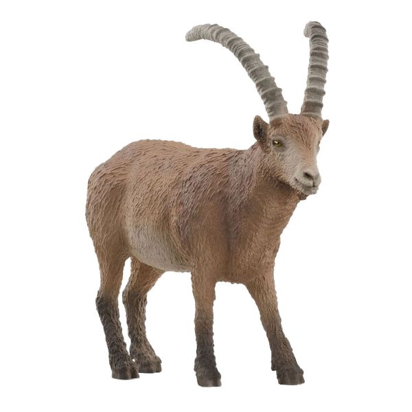 SC14873 IBEX Online Sale