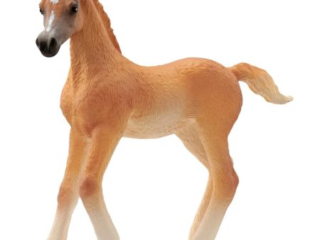 13984 SCHLEICH ARAB FOAL For Discount