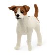 SC13916 JACK RUSSELL TERRIER Cheap