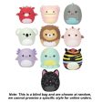 Squishmallows Squooshems 2.5  Mystery Packs Fantasy ASST Supply